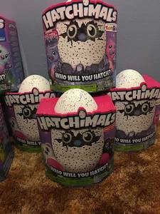 hatchimals bulk order