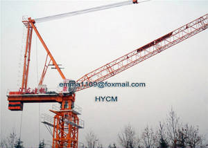 Wholesale 50ton crane: D5020 Jib Luffing Tower Crane 10tons Load 50m Arm Price