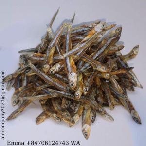 Wholesale dried anchovy fish: CCC/CQC Certs Factory Price Dried Anchovy Fish/Stock Fish From Viet Nam - EmmA +84706124743 WA