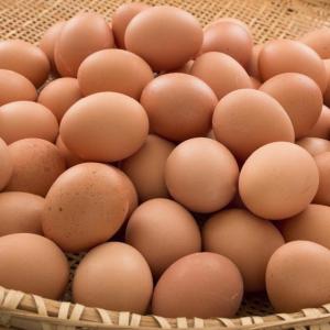 Wholesale lead: Wholesale Fresh Table Chicken Eggs - Fresh Table Chicken Eggs