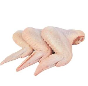 Wholesale wash labels: High Quality Chicken Frozen Wholesale Cheap Price From Brazil Halal Frozen Whole Chicken and Parts