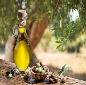 Bulk Olive Oil: How Much Oil Is In A Minimum Order Of 1 Pallet?