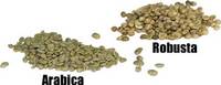 Rubusta and Arabica Green Coffee Beans