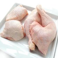 Wholesale Halal Frozen Whole Chicken, Chicken Parts, Paws, Legs Feet