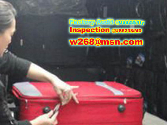 Suitcase Inspection | Bag Inspection