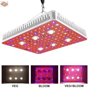 Wholesale indoor greenhouse: 2020 Full Spectrum LED Plant Grow Light with 3000W for Greenhouse Indoor Plants with Double Switch Wholesale indoor greenhouse: 2020 Full Spectrum LED Plant Grow Light with 3000W for Greenhouse Indoor Plants with Double Switch