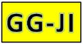 GG-JI Trading Co. Company Logo