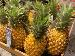 Wholesale sweetener: Purchase Quality Fresh Pineapples Quality Fresh Wholesale Fresh Pineapple,BEST PRICE FRESH PINEAPPLE