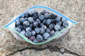 Wholesale frozen blueberries: Where To Purchase Quality Wholesales IQF Blueberries Whole Frozen/Fresh Blueberry