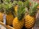 Purchase Quality Fresh Pineapples Quality Fresh Wholesale Fresh Pineapple,BEST PRICE FRESH PINEAPPLE