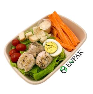 Wholesale pack.: Bagasse Divided Bento Packing Biodegradable Disposable Lunch Box