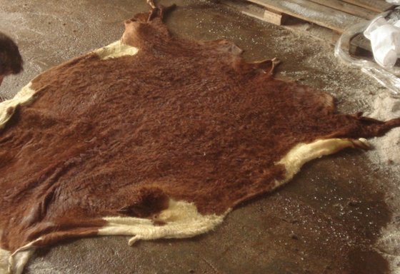 cow hides for sale melbourne