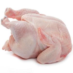 Wholesale skin: Halal Fresh Frozen  Whole Chicken