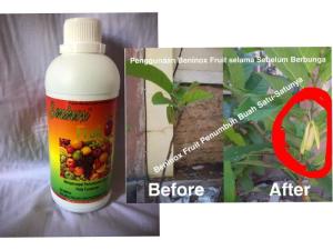 Wholesale acid: Beninox Fruit Growing Fertilizer 500 Ml