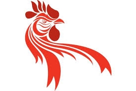Pt. DENARO Company Logo