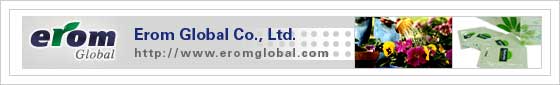 Erom Global Co., Ltd.