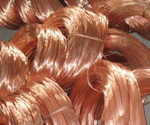 Wholesale Metal Scrap: Pure 99.99% Super Quality Factory Direct Sale Copper Wire Brand New Copper Wire Scrap