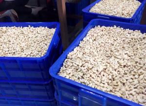 Wholesale cashew nut: Cashew Nuts