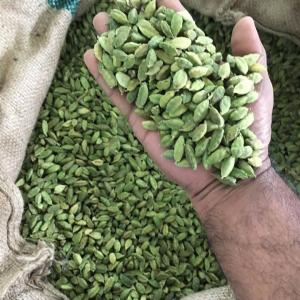Wholesale high quality: Wholesale Cardamom High Quality Green Cardamom Factory Price Green Cardamom Seeds