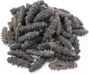 Wholesale Fish & Seafood: Dried Sea Cucumber