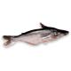 Sell IQF Pangasius catfish, Frozen Pangasius Fillet