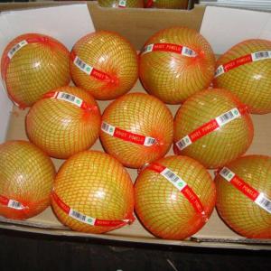 Wholesale Citrus Fruit: Fresh Honey Pomelo