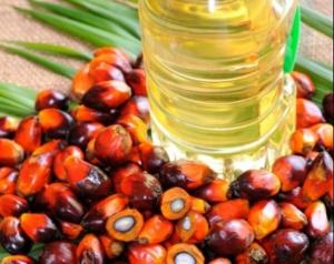 Wholesale biodiesel oil: Refined Palm Oil