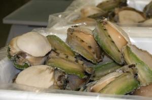 Wholesale dried abalone: Frozen Abalone Dry Abalone