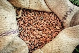 Wholesale Cocoa Beans: Cocoa Bean ,Cocoa Powder, Coffee , Cocoa Oil