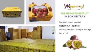 Wholesale fresh passion fruit: Fresh Passion Fruit