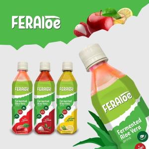 Wholesale aloe vera juice: Fermented Aloe Vera Drink with Fruit Juices