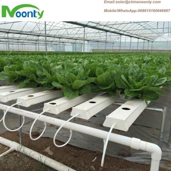 Sell Agriculture Hydroponics System(id:24180783) - EC21