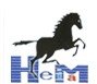 Benxi Black Horse Chemical Industry & Commerce Co., Ltd. Company Logo