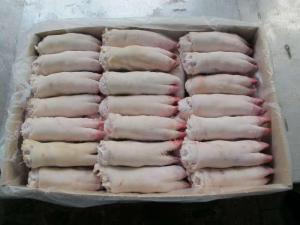 Wholesale carton: Frozen Pork Meat, Pork Feet, Pork Ribs, Pork Tongue, Pork Carcass, Pork Shoulder