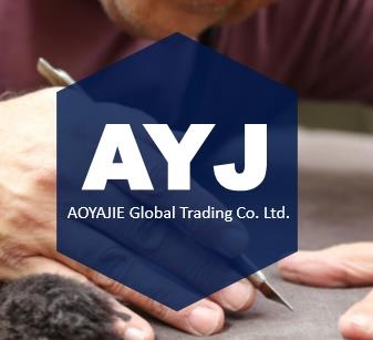 Beijing Aoyajie Global Trading Company Logo