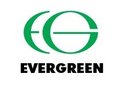 Linshu Evergreen Co., Ltd Company Logo