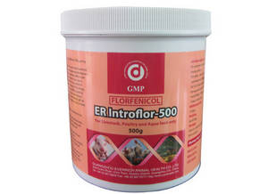 Wholesale spot prawn: Florfenicol 50% Powder