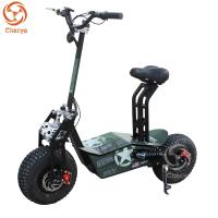Italy Style 2 Wheel Standing Up Electric Scooter with 1600W Motor