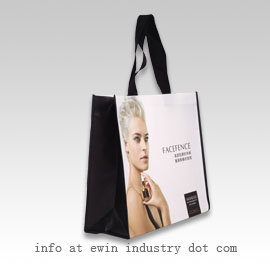New Luxury Laminated PP Non Woven Bag for Advertising