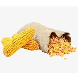 Wholesale manufacturer: Yellow Corn for Animal Feed