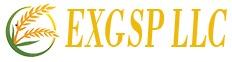 Exgsp Llc