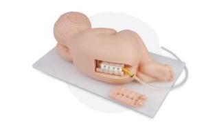 Wholesale infant: Infant Lumbar Puncture Model