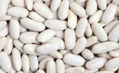 Wholesale beans: Sell White Beans