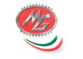 MG srl Company Logo