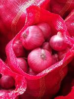 We Buy Fresh Red Onion 