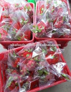 Wholesale red papaya: Supply Dragon Fruit/ Frozen Dragon Fruit/ Dried Dragon Fruit_high Quality(+ 84 338 477 618)