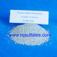 Sell ferrous sulphate monohydrate 12-24mesh 
