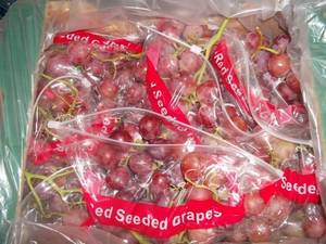 Wholesale red grape: Red Globe Grapes