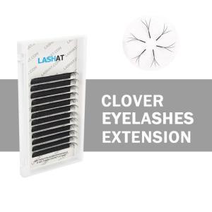 Wholesale popular: EYELASH Popular 0.07mm D Crul Lash Extension 4D Clover Eyelash Lash Extension Fan YY/ V W Individual