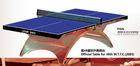 Portable Indoor Table Tennis Table , Sporting Official Table Tennis Table